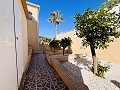 7 bedroom Villa in San Miguel de Salinas in  Dream Villas Alicante