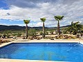 Preciosa villa de 4 dormitorios y 2 baños en Salinas. in  Dream Villas Alicante