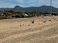 Joli terrain à distance de marche de la ville. in  Dream Villas Alicante