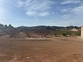 Prachtig bouwperceel op loopafstand van het centrum. in  Dream Villas Alicante