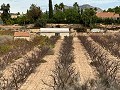 Prachtig bouwperceel op loopafstand van het centrum. in  Dream Villas Alicante