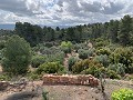 Fantastisches Landhaus mit 4 Schlafzimmern und 20.000 m2 Grundstück in  Dream Villas Alicante
