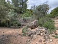 Fantastisches Landhaus mit 4 Schlafzimmern und 20.000 m2 Grundstück in  Dream Villas Alicante