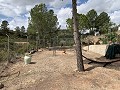 Fantastisches Landhaus mit 4 Schlafzimmern und 20.000 m2 Grundstück in  Dream Villas Alicante