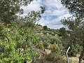 Fantastisches Landhaus mit 4 Schlafzimmern und 20.000 m2 Grundstück in  Dream Villas Alicante