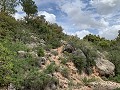 Fantastisches Landhaus mit 4 Schlafzimmern und 20.000 m2 Grundstück in  Dream Villas Alicante