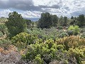 Fantastisches Landhaus mit 4 Schlafzimmern und 20.000 m2 Grundstück in  Dream Villas Alicante