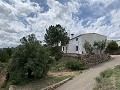 Fantastisches Landhaus mit 4 Schlafzimmern und 20.000 m2 Grundstück in  Dream Villas Alicante