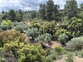 Fantastisches Landhaus mit 4 Schlafzimmern und 20.000 m2 Grundstück in  Dream Villas Alicante