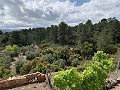 Fantastisches Landhaus mit 4 Schlafzimmern und 20.000 m2 Grundstück in  Dream Villas Alicante