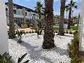 Bungalow met 3 slaapkamers in Punta Prima in  Dream Villas Alicante