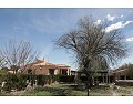 Preciosa casa de campo de 3 dormitorios y 2 baños en Villena. in  Dream Villas Alicante