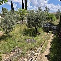 Schönes Landhaus mit 3 Schlafzimmern und 1 Bad in Yecla. in  Dream Villas Alicante
