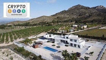 Instapklare moderne villa met 5 slaapkamers in Sax, Alicante