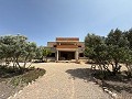Fabulous 70% finished New build 7 Bedroom 4 Bathroom Villa for sale in Salinas. in  Dream Villas Alicante