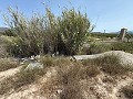Fabulous 70% finished New build 7 Bedroom 4 Bathroom Villa for sale in Salinas. in  Dream Villas Alicante