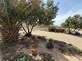 Fabulous 70% finished New build 7 Bedroom 4 Bathroom Villa for sale in Salinas. in  Dream Villas Alicante