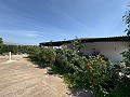 Lovely 4 Bedroom 2 Bath Villa in Villena with pool  in  Dream Villas Alicante