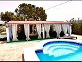 Lovely 4 Bedroom 2 Bath Villa in Villena with pool  in  Dream Villas Alicante