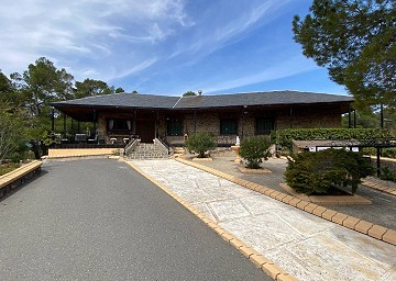 Atemberaubende traditionelle Villa mit 5 Schlafzimmern und 2 Bädern in 140.000 m2 Waldgebiet in Sax