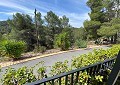 Atemberaubende traditionelle Villa mit 5 Schlafzimmern und 2 Bädern in 140.000 m2 Waldgebiet in Sax in  Dream Villas Alicante