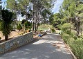 Atemberaubende traditionelle Villa mit 5 Schlafzimmern und 2 Bädern in 140.000 m2 Waldgebiet in Sax in  Dream Villas Alicante