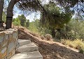 Atemberaubende traditionelle Villa mit 5 Schlafzimmern und 2 Bädern in 140.000 m2 Waldgebiet in Sax in  Dream Villas Alicante