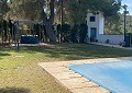Atemberaubende traditionelle Villa mit 5 Schlafzimmern und 2 Bädern in 140.000 m2 Waldgebiet in Sax in  Dream Villas Alicante