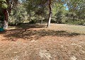 Atemberaubende traditionelle Villa mit 5 Schlafzimmern und 2 Bädern in 140.000 m2 Waldgebiet in Sax in  Dream Villas Alicante