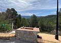 Atemberaubende traditionelle Villa mit 5 Schlafzimmern und 2 Bädern in 140.000 m2 Waldgebiet in Sax in  Dream Villas Alicante