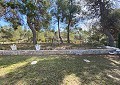 Atemberaubende traditionelle Villa mit 5 Schlafzimmern und 2 Bädern in 140.000 m2 Waldgebiet in Sax in  Dream Villas Alicante