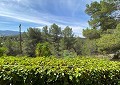 Atemberaubende traditionelle Villa mit 5 Schlafzimmern und 2 Bädern in 140.000 m2 Waldgebiet in Sax in  Dream Villas Alicante