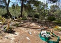 Atemberaubende traditionelle Villa mit 5 Schlafzimmern und 2 Bädern in 140.000 m2 Waldgebiet in Sax in  Dream Villas Alicante
