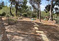 Atemberaubende traditionelle Villa mit 5 Schlafzimmern und 2 Bädern in 140.000 m2 Waldgebiet in Sax in  Dream Villas Alicante