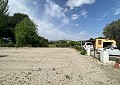 Finca de 4 chambres avec piscine et joli jardin à 10 minutes à pied de la ville de Sax in  Dream Villas Alicante