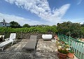 Finca de 4 chambres avec piscine et joli jardin à 10 minutes à pied de la ville de Sax in  Dream Villas Alicante