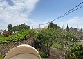 Finca de 4 chambres avec piscine et joli jardin à 10 minutes à pied de la ville de Sax in  Dream Villas Alicante