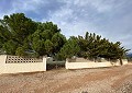 Schöne Finca in Sax 2 Schlafzimmer 1 Bad mit Potenzial für viel mehr in  Dream Villas Alicante