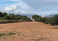 Schöne Finca in Sax 2 Schlafzimmer 1 Bad mit Potenzial für viel mehr in  Dream Villas Alicante