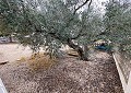 Schöne Finca in Sax 2 Schlafzimmer 1 Bad mit Potenzial für viel mehr in  Dream Villas Alicante