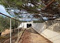 Schöne Finca in Sax 2 Schlafzimmer 1 Bad mit Potenzial für viel mehr in  Dream Villas Alicante