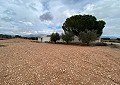 Schöne Finca in Sax 2 Schlafzimmer 1 Bad mit Potenzial für viel mehr in  Dream Villas Alicante