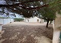 Schöne Finca in Sax 2 Schlafzimmer 1 Bad mit Potenzial für viel mehr in  Dream Villas Alicante
