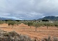 Schöne Finca in Sax 2 Schlafzimmer 1 Bad mit Potenzial für viel mehr in  Dream Villas Alicante