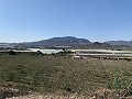 Baugrundstück in der Nähe von Monforte del Cid in  Dream Villas Alicante