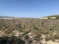 Baugrundstück in der Nähe von Monforte del Cid in  Dream Villas Alicante