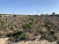 Baugrundstück in der Nähe von Monforte del Cid in  Dream Villas Alicante