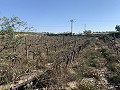Baugrundstück in der Nähe von Monforte del Cid in  Dream Villas Alicante