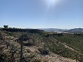 Baugrundstück in der Nähe von Monforte del Cid in  Dream Villas Alicante