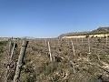 Baugrundstück in der Nähe von Monforte del Cid in  Dream Villas Alicante